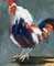 Rising Rooster Poster Print by Jane Slivka - Item # VARPDX13826